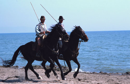 Butteri maremmani a cavallo